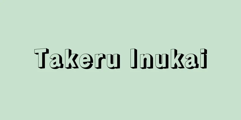 Takeru Inukai