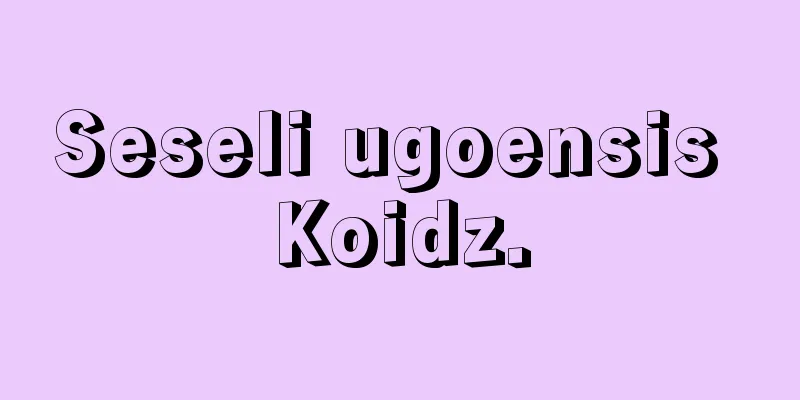 Seseli ugoensis Koidz.