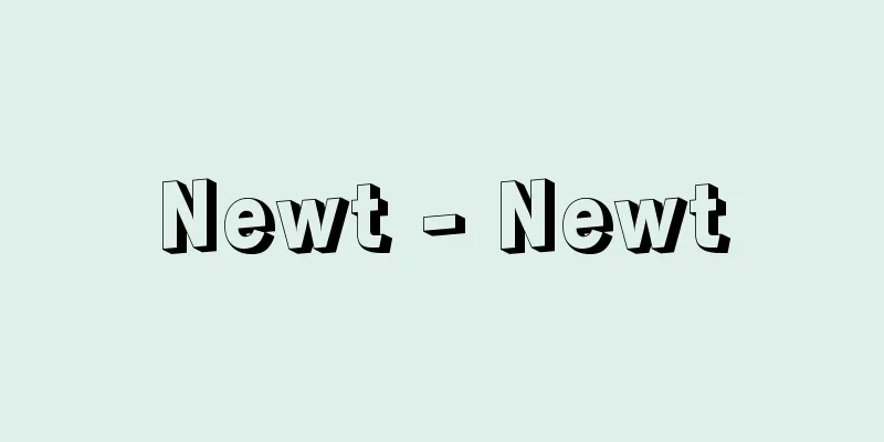 Newt - Newt