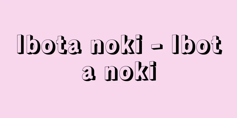 Ibota noki - Ibota noki