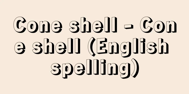 Cone shell - Cone shell (English spelling)