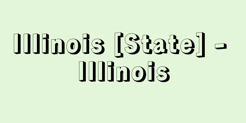 Illinois [State] - Illinois