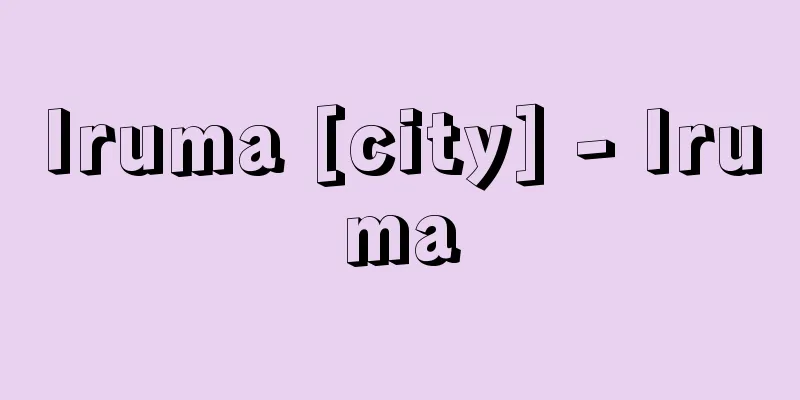 Iruma [city] - Iruma