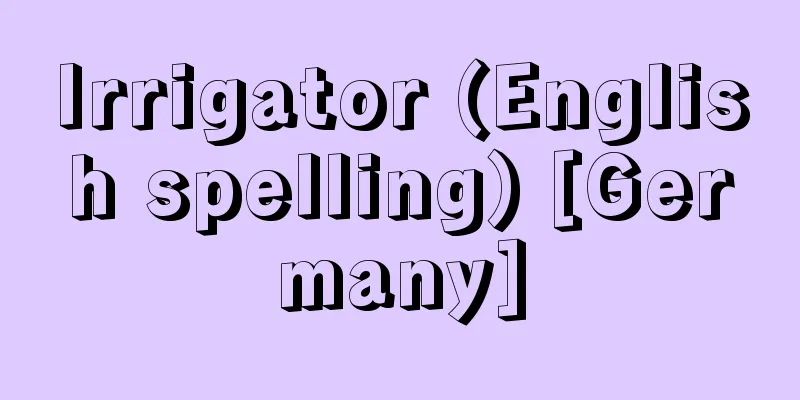 Irrigator (English spelling) [Germany]