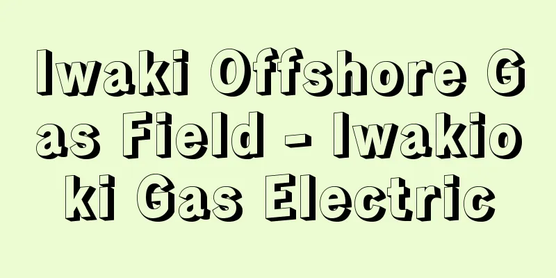 Iwaki Offshore Gas Field - Iwakioki Gas Electric