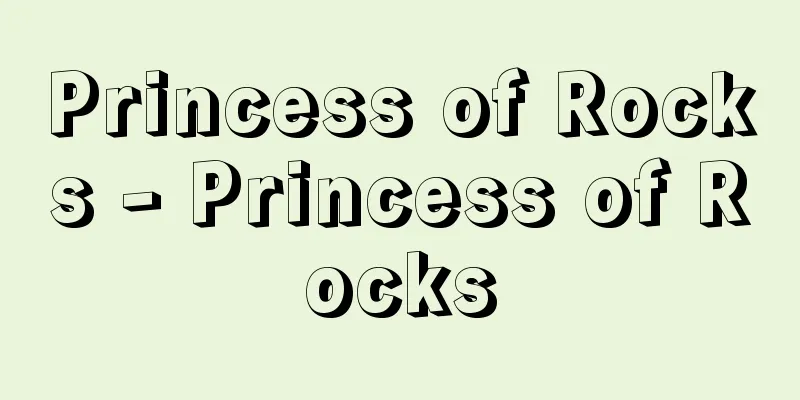 Princess of Rocks - Princess of Rocks