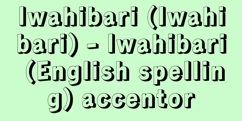 Iwahibari (Iwahibari) - Iwahibari (English spelling) accentor