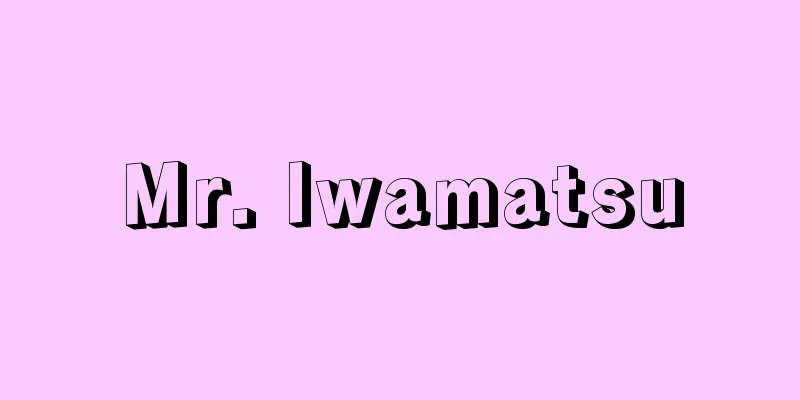 Mr. Iwamatsu