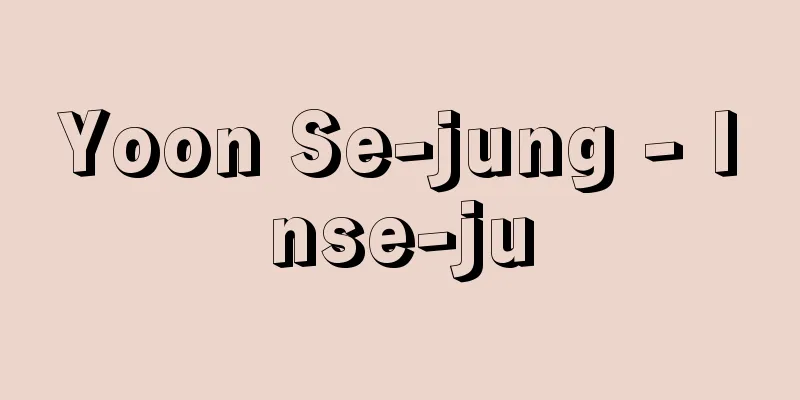 Yoon Se-jung - Inse-ju