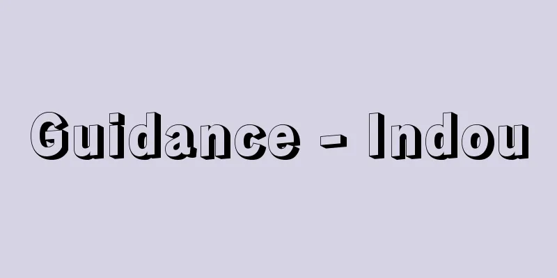 Guidance - Indou