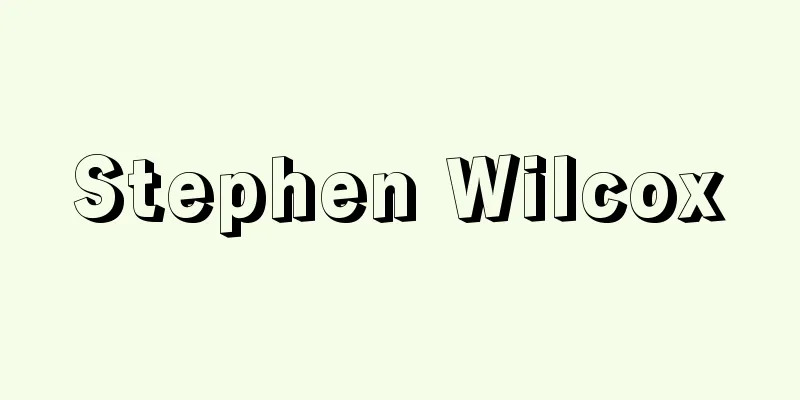 Stephen Wilcox