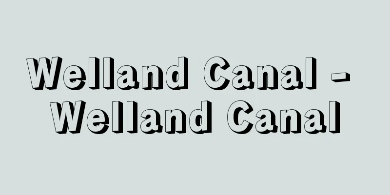 Welland Canal - Welland Canal