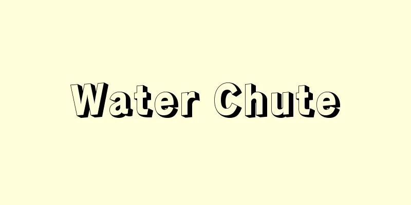 Water Chute