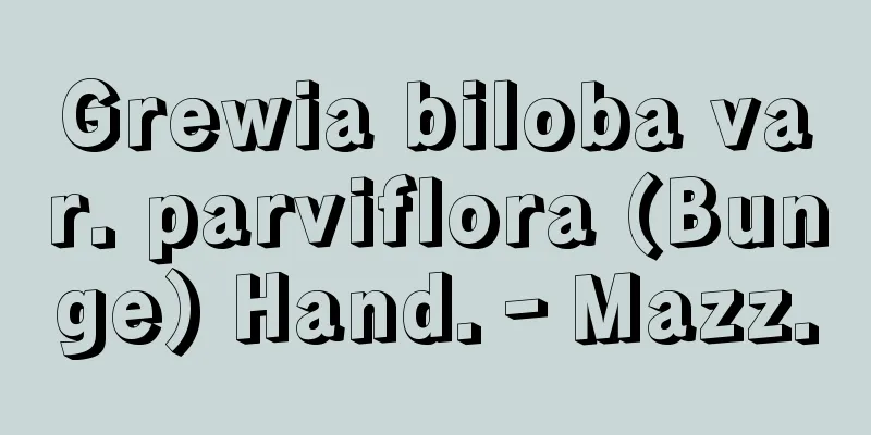 Grewia biloba var. parviflora (Bunge) Hand.‐Mazz.