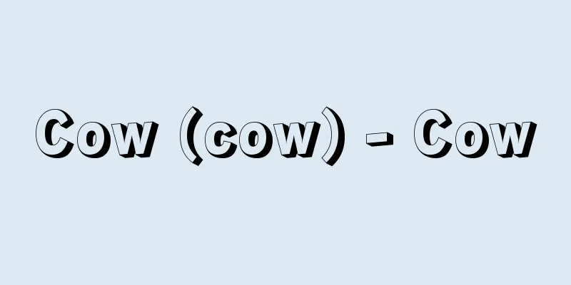 Cow (cow) - Cow