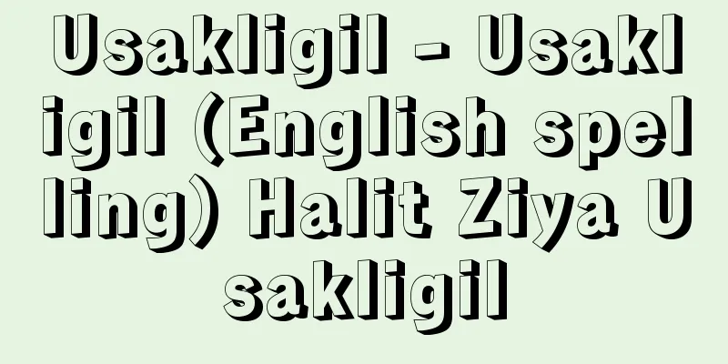Usakligil - Usakligil (English spelling) Halit Ziya Usakligil