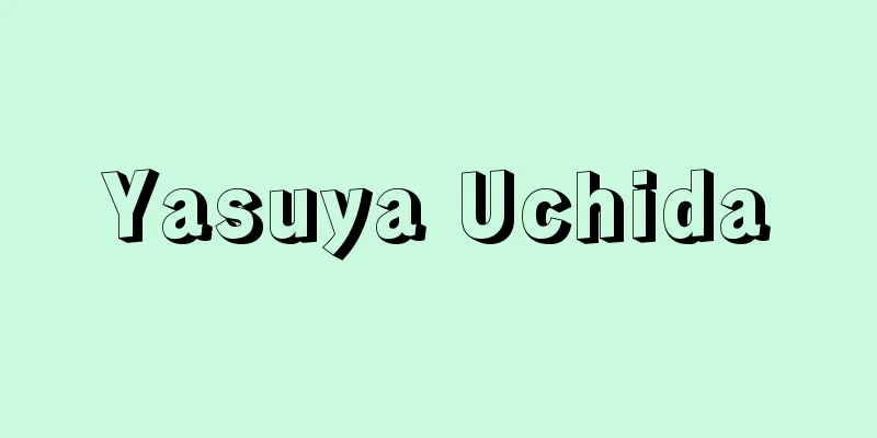 Yasuya Uchida