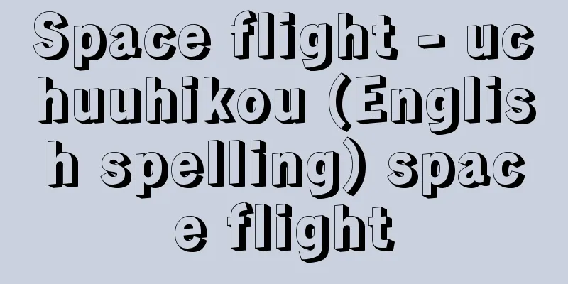 Space flight - uchuuhikou (English spelling) space flight
