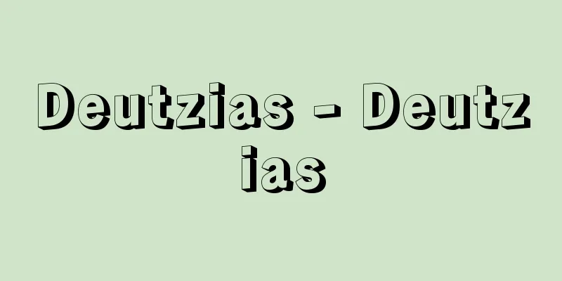 Deutzias - Deutzias