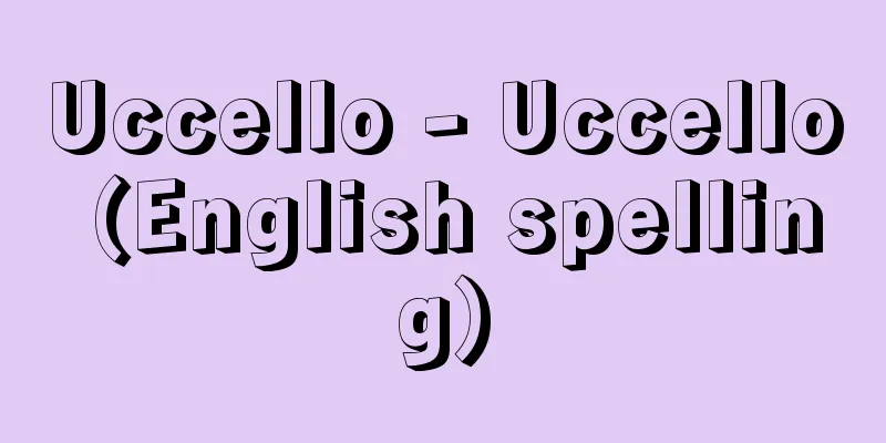 Uccello - Uccello (English spelling)