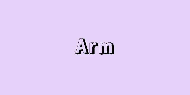 Arm