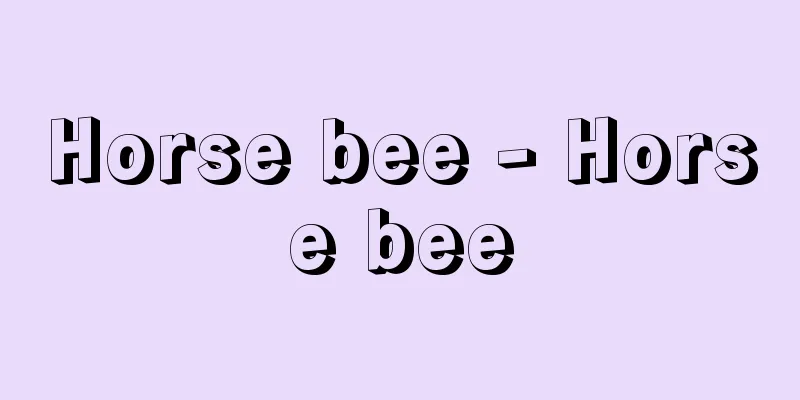 Horse bee - Horse bee