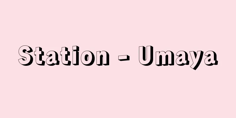 Station - Umaya