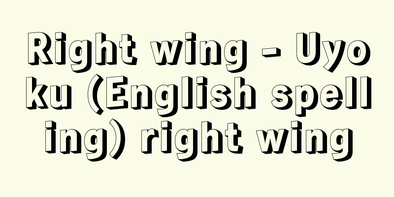 Right wing - Uyoku (English spelling) right wing