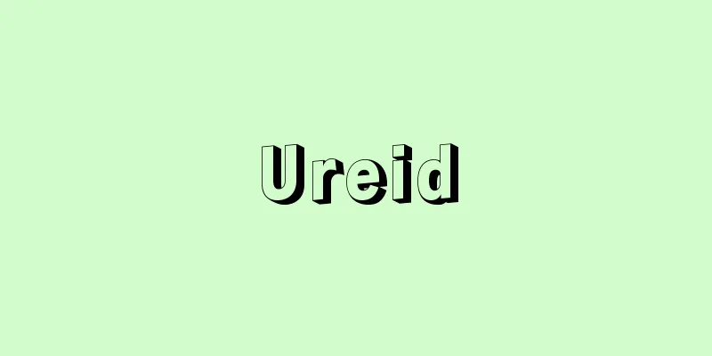 Ureid