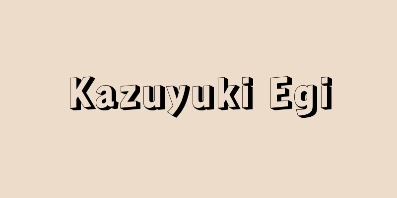 Kazuyuki Egi