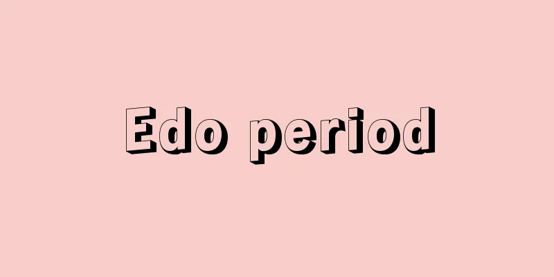 Edo period
