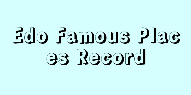 Edo Famous Places Record