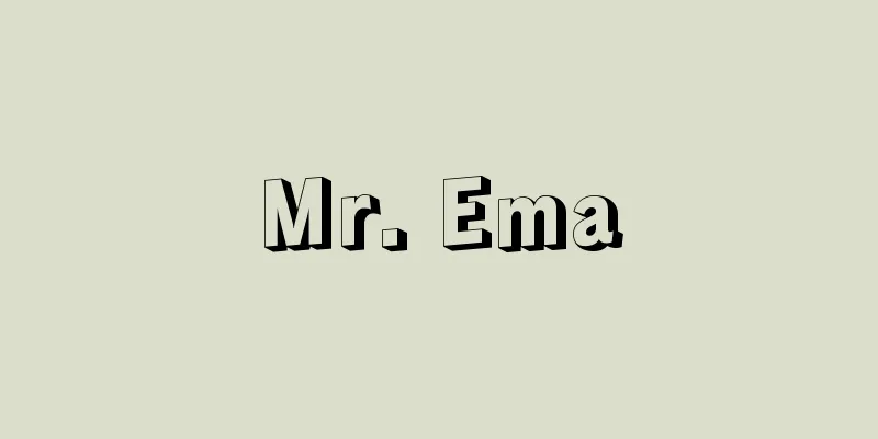 Mr. Ema