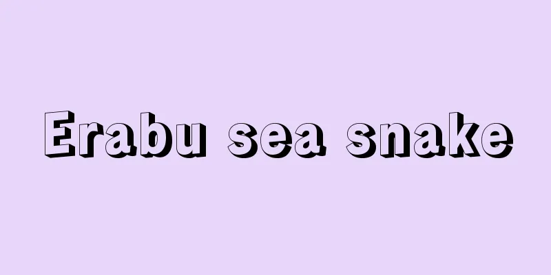 Erabu sea snake