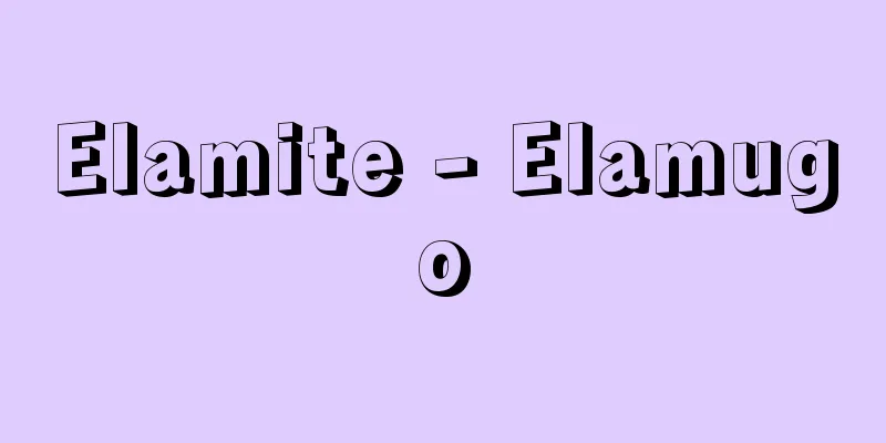 Elamite - Elamugo