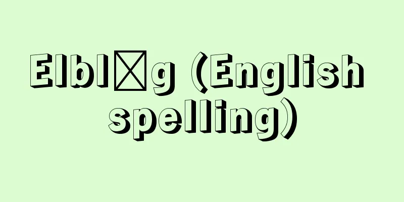 Elbląg (English spelling)