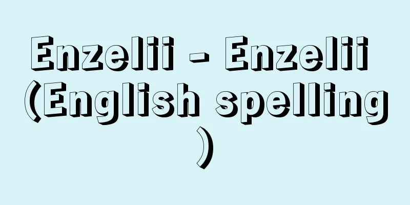 Enzelii - Enzelii (English spelling)