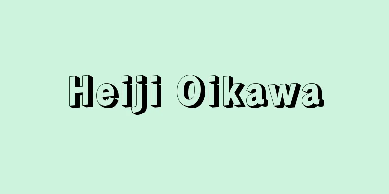 Heiji Oikawa
