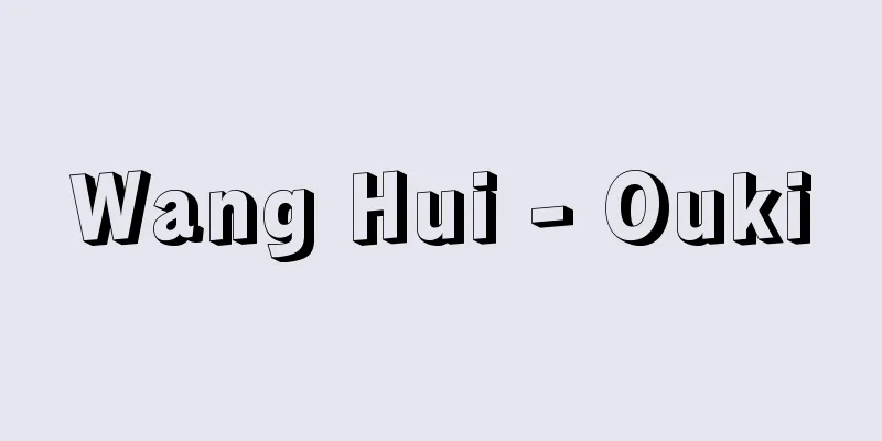 Wang Hui - Ouki