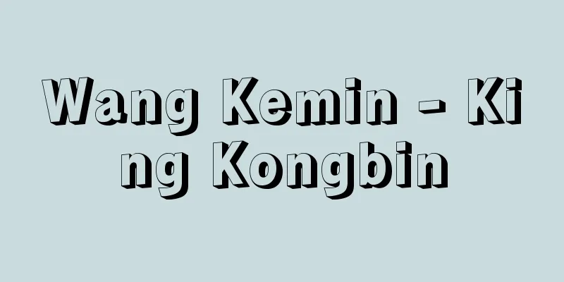 Wang Kemin - King Kongbin