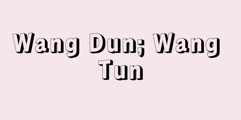 Wang Dun; Wang Tun