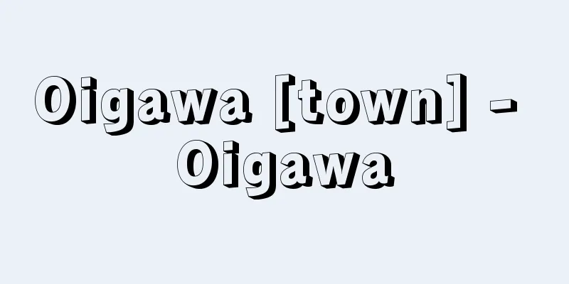 Oigawa [town] - Oigawa