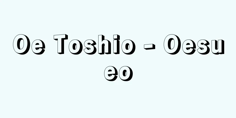 Oe Toshio - Oesueo