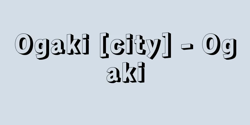 Ogaki [city] - Ogaki
