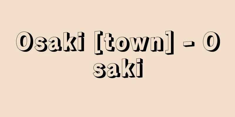 Osaki [town] - Osaki