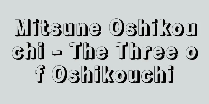 Mitsune Oshikouchi - The Three of Oshikouchi