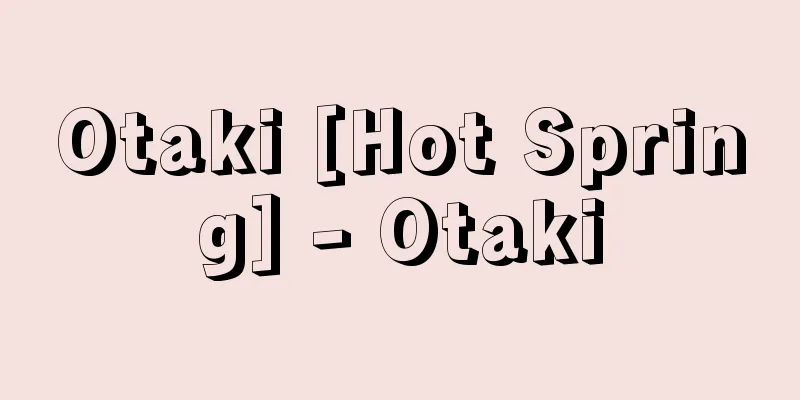Otaki [Hot Spring] - Otaki