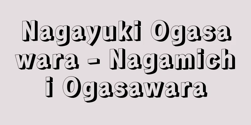 Nagayuki Ogasawara - Nagamichi Ogasawara