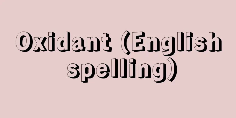 Oxidant (English spelling)
