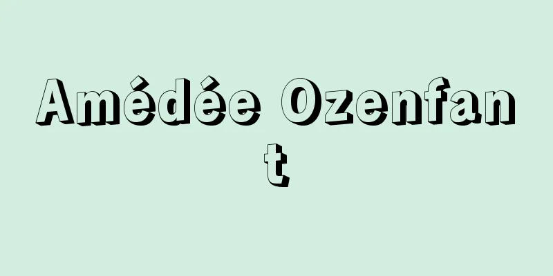 Amédée Ozenfant